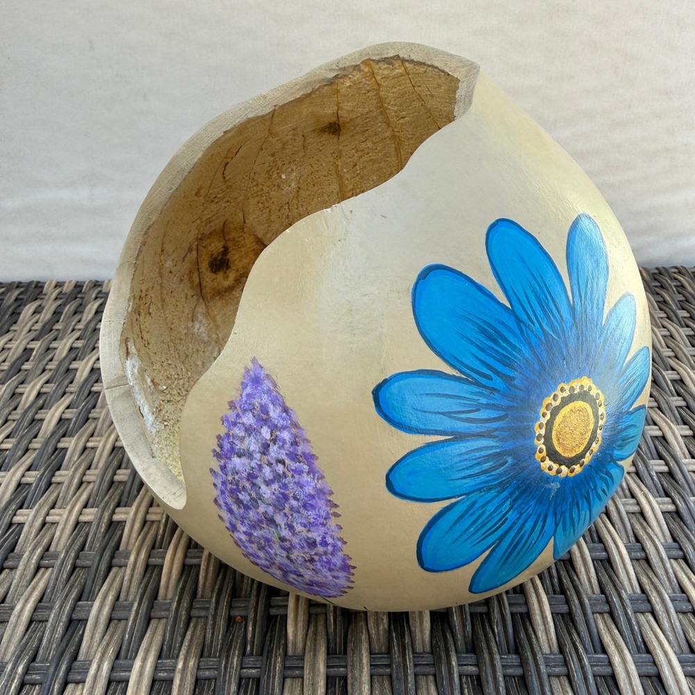 Hand Painted Gourd Bowl Floral Folk Art Rustic Boho Decor Natural Shell